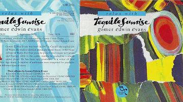 Tequila Sunrise by Gomer Edwin Evans 1990