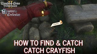 Catch Crayfish Our Daily Bread Side Quest - Kingdom Come Deliverance 2 Mysteria Ecclesiae