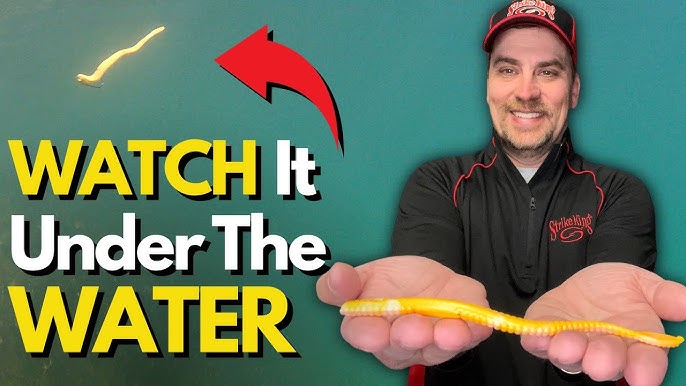 Bass Fishing Tips - How to Fish a Plastic Worm 
