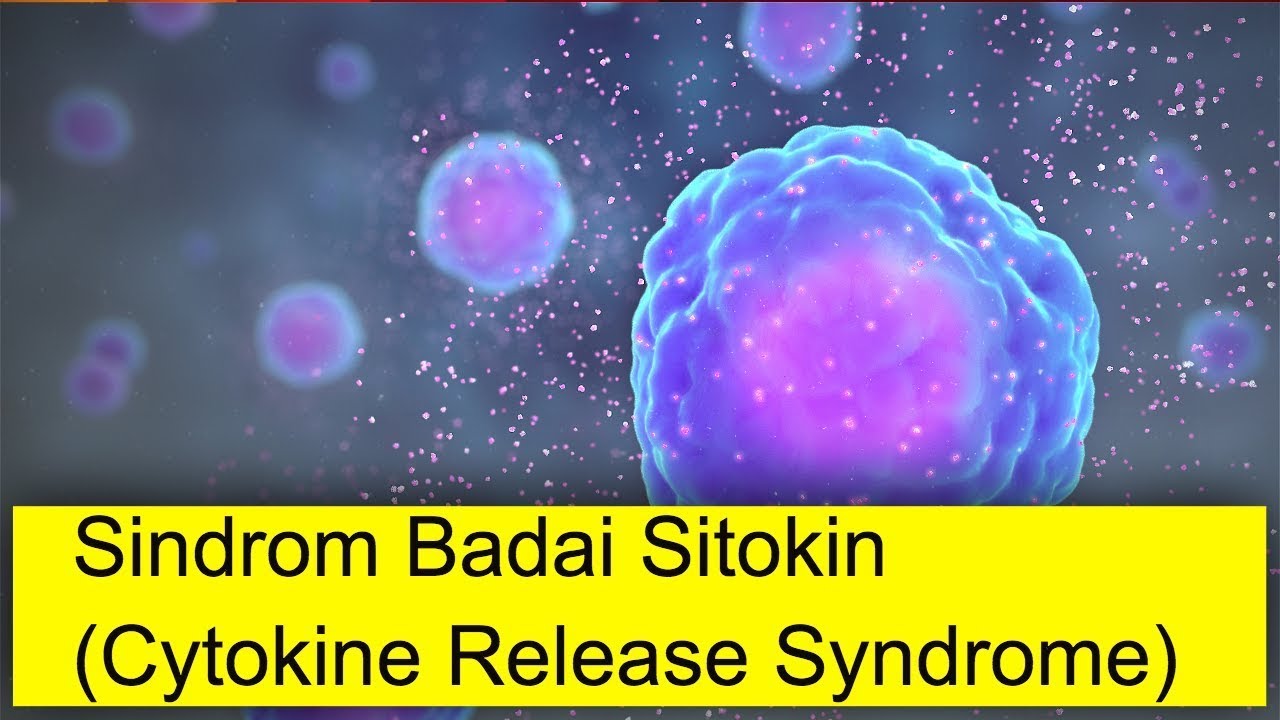 Patofisiologi Sindrom Badai Sitokin (mohon aktifkan subtitle) YouTube