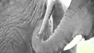 Top Funny Videos 2016- Lunch