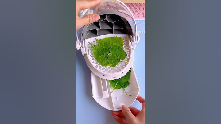 还记得小时候养蚕宝宝的过程吗 #养蚕#diy #diyprojects #diyideas