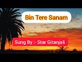 Bin tere sanam  coversong hindi rimix 2023sung by star gitanjali 