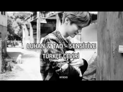 Luhan & Tao - Sensitive Türkçe Çeviri