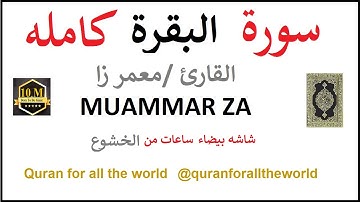 6602025 سورة البقرة معمر زا Surat Al Baqarah شاشه بيضاء 02 MUAMMAR ZA @quranforalltheworld