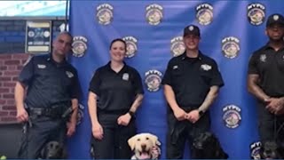Retiring K9's get adorable sendoff by NYPD