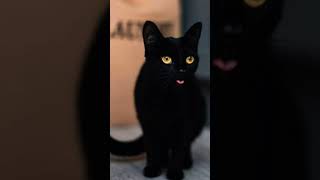 Httpsyoutubecomfirozfiroz7283sighkp60ucire35q3g