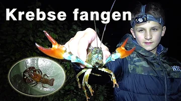 Wie angelt man Krebse?