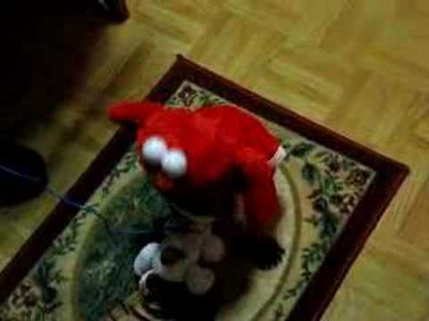 Elmo Gets Dirty With Dog - YouTube.