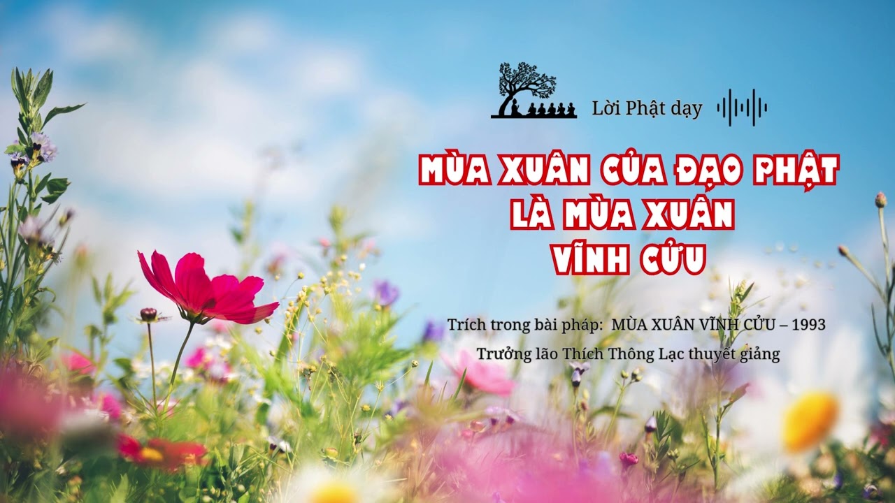 Mùa xuân của Đạo Phật là mùa xuân vĩnh cửu!