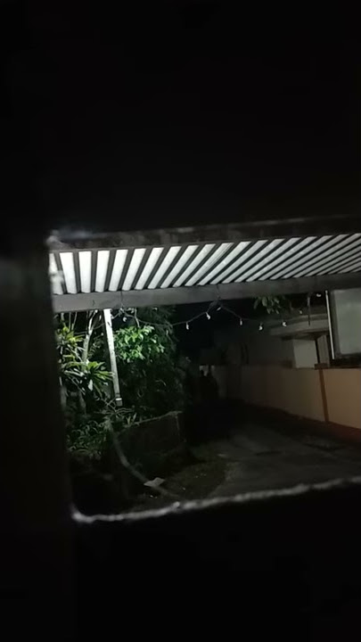 VIRAL.. Wayahe wayahe (Saur opo ora sak karepmu)