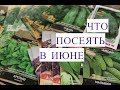 Что Посеять В Июне. Сорта Укропа, Сорта Огурцов и многое другое.