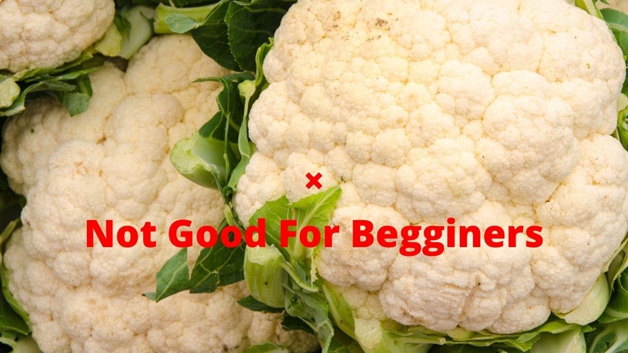 Dangerous!//Gardening|Begginers Beware Of This -good winter Fruits and vegetables plants