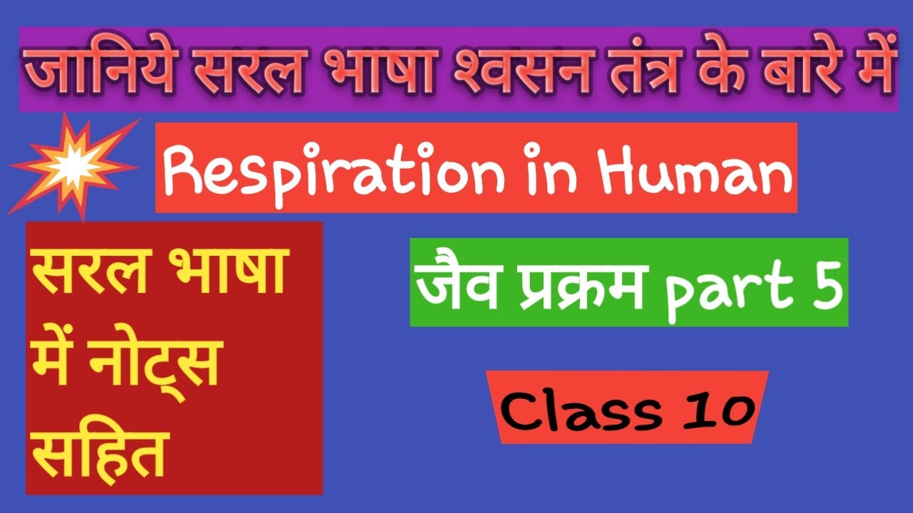 RESPIRATORY SYSTEM RESPIRATION IN HUMAN IN HINDI CLASS 10 BIOLOGY