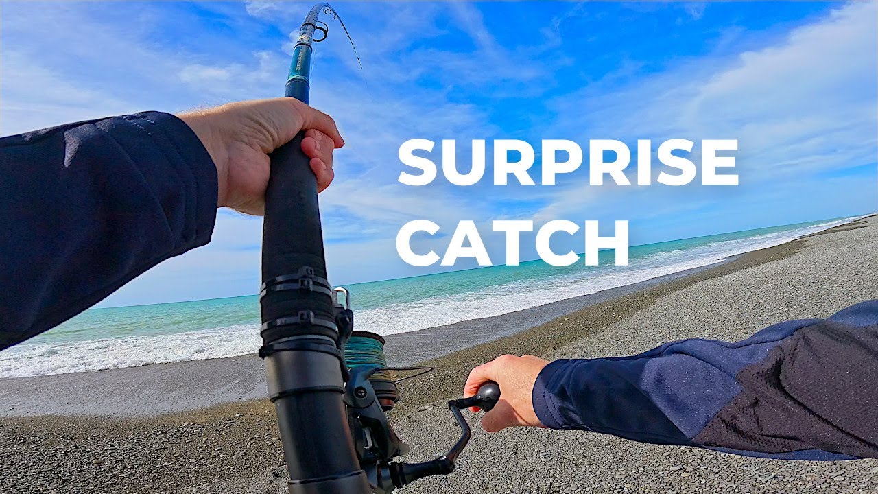 Surfcasting the New Zealand Coast | Gurnard, Kahawai & Rig Shark | Catch & Cook