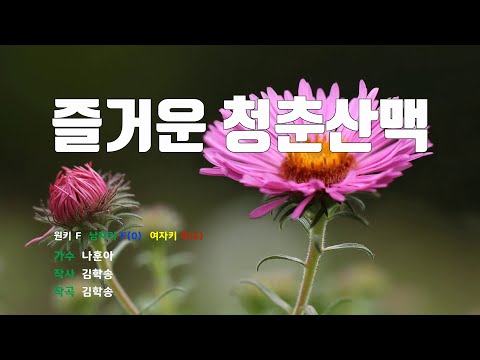 [은성 반주기] 즐거운청춘산맥 - 나훈아