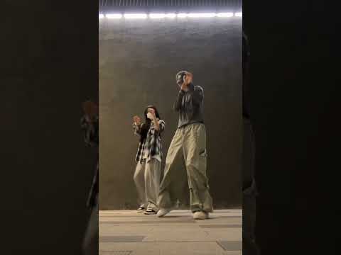 Down Leellamarz DUT2 Dance Cover Nikoork 