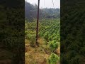 Gaja Bagan Gaja Khet Gaja Short Story 