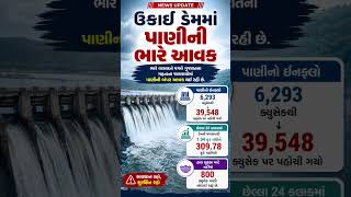 Weather News 🔴 ઉકાઈ ડેમમાં પાણીની ભારે આવક #gujarat #weather #monsoon #news #samachar