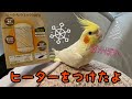【セラミックヒーター】オカメインコのためにヒーターを組み立ててみたよ