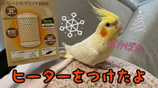 【セラミックヒーター】オカメインコのためにヒーターを組み立ててみたよ