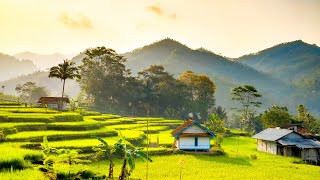 SEPERTI DI LUKISAN! salah satu kampung super indah bikin betah tinggal disini, pedesaan jawa barat