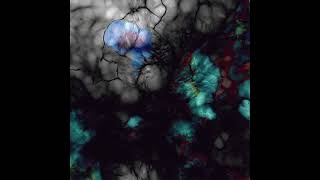 Plax, NKY - Soft Errors