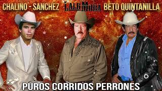 Beto Quintanilla - Lalo Mora - Chalino Sanchez || Puros Corridos Mix 2023 - Puros Corridos Chingones