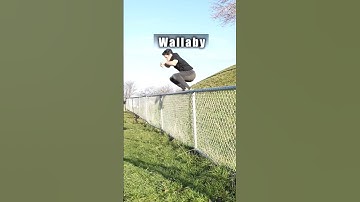 How animals get over the fence #animals #jump #funny #youtubeshorts ##viralshorts
