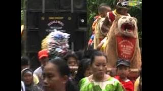 PUSAKA WANGI IN  Cicomplong (ulah timburuan 2 )