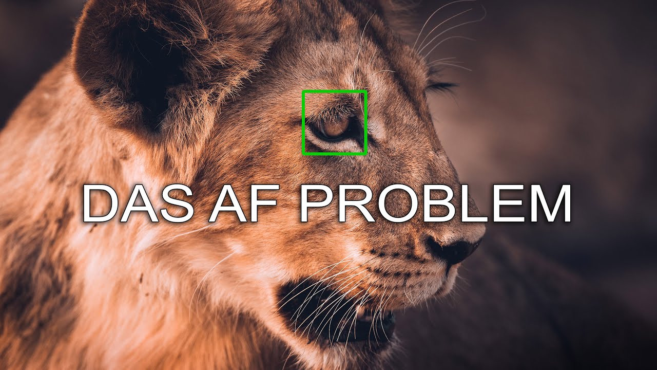 Foto unscharf?❌ Was du über den Autofokus NOCH NICHT WUSSTEST!