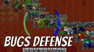 Tibia War - Funera - Retro Hardcore Pvp - Thais - Carlin Bugs Defense