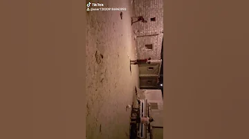 وادي النطرون 