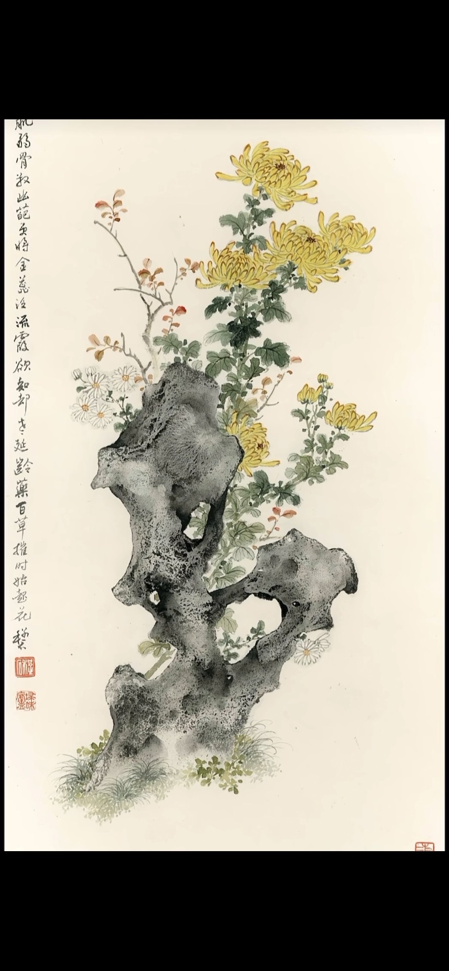 太湖石配小菊花也很搭How to draw a good Taihu stone painting