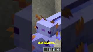 Top 5 Rarest Mobs In Minecraft??