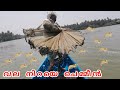 വല വീശി ചെമ്മീൻ ചാകര 😜😜( Net Fishing )#2