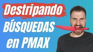 Máximo DETALLE en Performance Max  Términos de Búsqueda