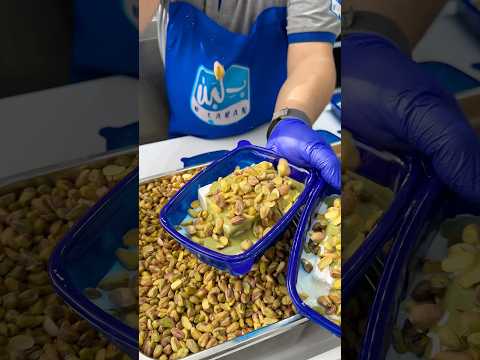 قشطوطة سوبر الملوك للملوك وبس بلبن
