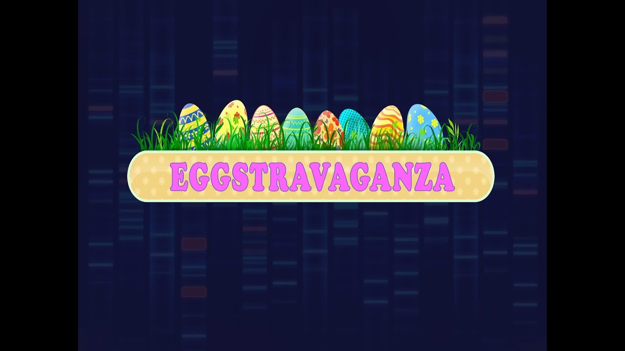 Spotlight Macomb - Eggstravaganza 2018 - YouTube