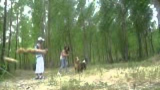 MVI_3843.AVI