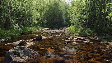 Soothing sounds of birds singing and a stream flowing