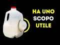50 consigli per la cucina che vi faranno sembrare uno chef