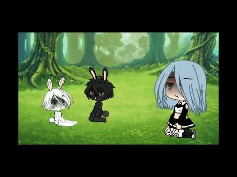 🐰🦋|~меме~|《кролики》🐰🦋