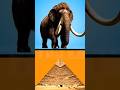 Mammoths were ALIVE when Pyramids were built? #shorts #trending