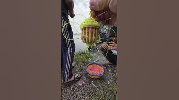 Câu Cá Hồ Đá Làng Đại Học #shorts