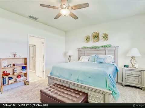 11703 TETRAFIN DRIVE, Riverview, FL home video tour
