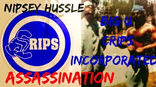 Big u Crips incorporated Nipsey Hussle Assassination #nipseyhussle #biguchecknin #earnyourleisure