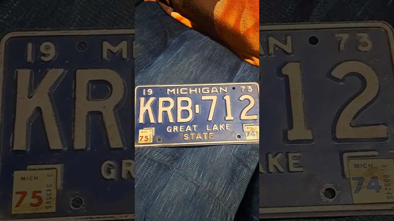 1973 Michigan license plate...metal. 