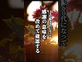 50代、60代で「感謝の意味を改めて確認する」 #心に響く言葉#名言 #名言集 #心に響く言葉