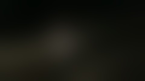 Duel supir truk || saling baku hantam